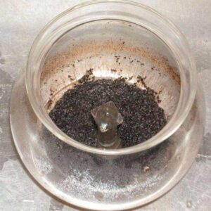 Leftover Coffee Grounds