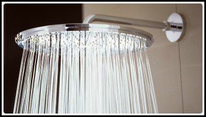 Luxury Shower Head